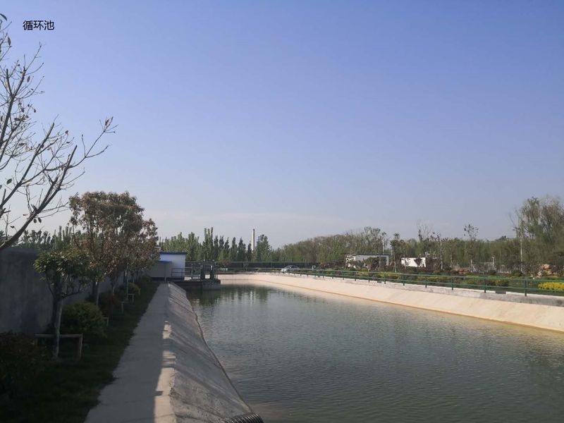 China Shandong Xingshun New Material Co., Ltd. Perfil da empresa 